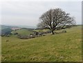 Looking back towards Chapman Farm