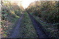 Bridleway towards Green lane