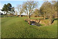 Oasis on the golf course by the footpath