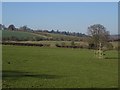 Barrow farmland