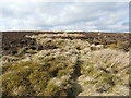 Path up Midgley Moor