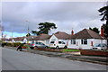 Bungalows on Markham Avenue