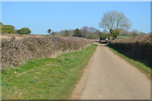 SU5434 : Farm track, Itchen Down Farm by David Martin