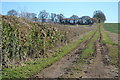 SU5436 : Track along field edge south of Hassock Farm by David Martin