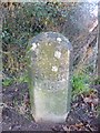 Old Milepost by the A36, Salisbury Road, Plaitford