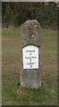 Old Milestone by Cirencester Road, Rodborough Common