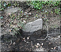 Old Milestone by the A377, North of Newnham Bridge