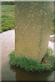 Old Milestone in field east of Lanreath village