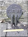 Old Boundary Marker by the A177, Stockton Road, Durham