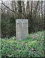 Old Milestone by the A3072, Weekstone Cottage, Pancrasweek parish