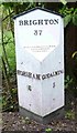 Old Milepost by the B2130, Godalming Road, Hascombe