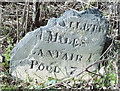 Old Milestone by the A458, Heniarth Gate, Llanfair Caereinion parish