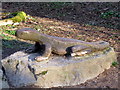 Lizard carving at Loggerheads Country Park