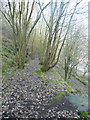 Path or berm, Snake Hill Wood, Halifax