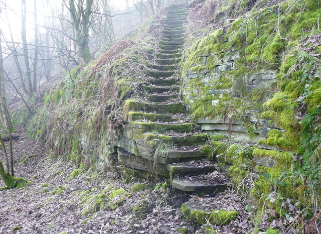 Steps on Halifax FP733 in Snake Hill Wood