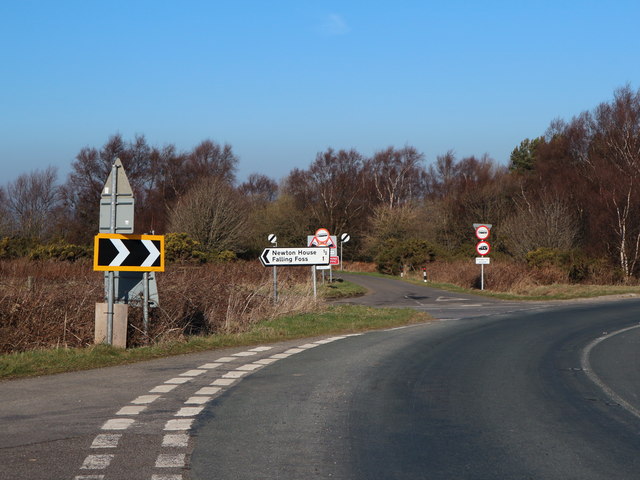 Plethora of road signs 1