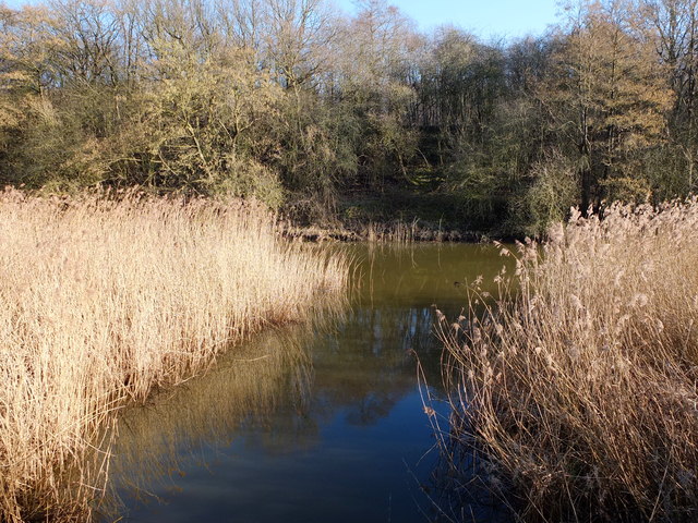 Confluence of Marbury Brook and Witton Brook