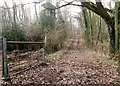 Track to a sewage pumping station