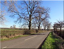 SP6698 : Washbrook Lane towards Burton Overy by Andrew Tatlow