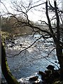 Rapids on the Swale