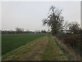 Footpath to Fen Lane