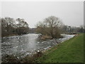 Island in the Trent