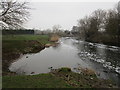 Newark branch of the Trent below the weir