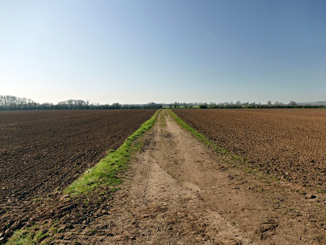 Bridleway between ploughed fields