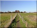 A narrow public footpath fenced with barbed wire