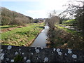 The Newry Canal South of Gambles Bridge