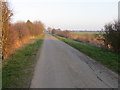 Hedge-lined Crawcrof Lane heading towards Vistora and the A52