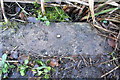 Benchmark on concrete surround of manhole cover, Mill Street