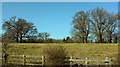 Trees near Chevening Cross