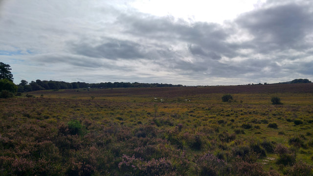 Shallow valley on heath west of Ferny Crofts