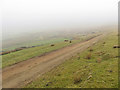 Track on Mynydd Bedwellte