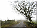 Lane near New Tredegar