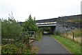 Passing under the road