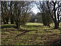 Presteign Branch trackbed, Forge Crossing