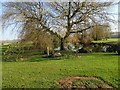 Garden Pool