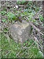 Old milemarker by Foleshill, Coventry