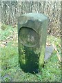 Old milemarker by Huddersfield Narrow Canal, Mossley parish