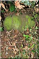 Old Milestone by the B5395, Chester Road, Cloverfield