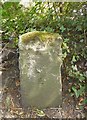 Old Milestone by the B3335, St Cross Road, Winchester