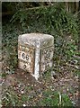 Old Milestone by Old Salisbury Road, Gilbert