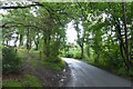 Road leading to Blackrock Sands