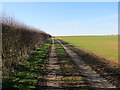 TF3478 : Field edge Track and Bridleway heading in the direction of Ruckland by Peter Wood