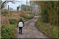 Mid Devon : Country Lane