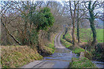 ST1714 : Mid Devon : Hidewood Lane by Lewis Clarke