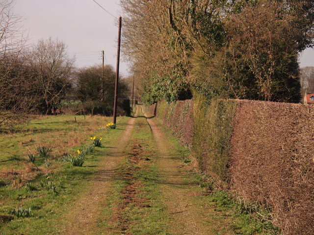 Track to the Sproatley to Preston road