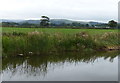 Lancaster Canal at Cabus Nook Farm